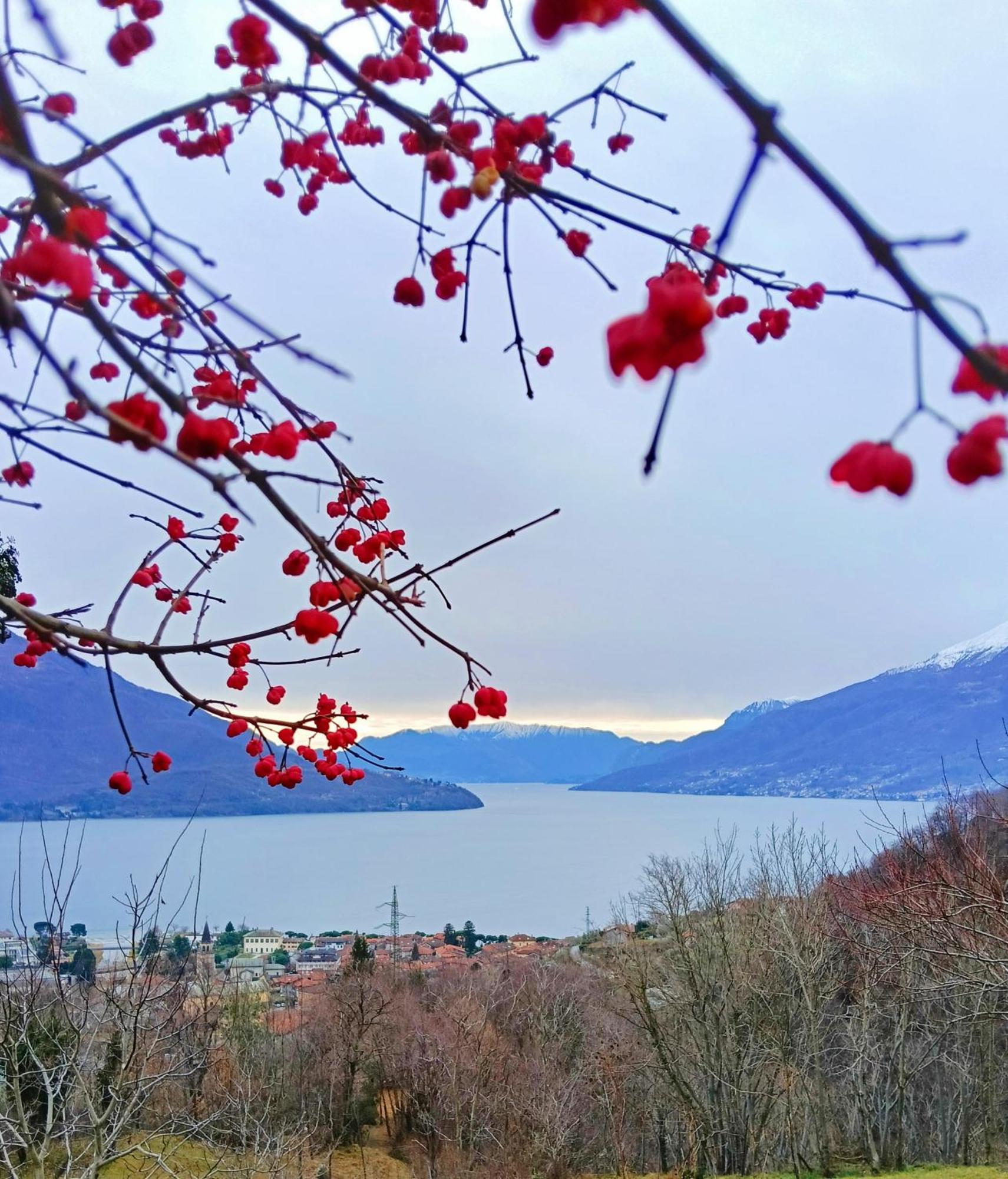 Cremia Lake Como Borgo Vignola מראה חיצוני תמונה